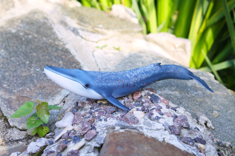 Морские животные от Schleich.