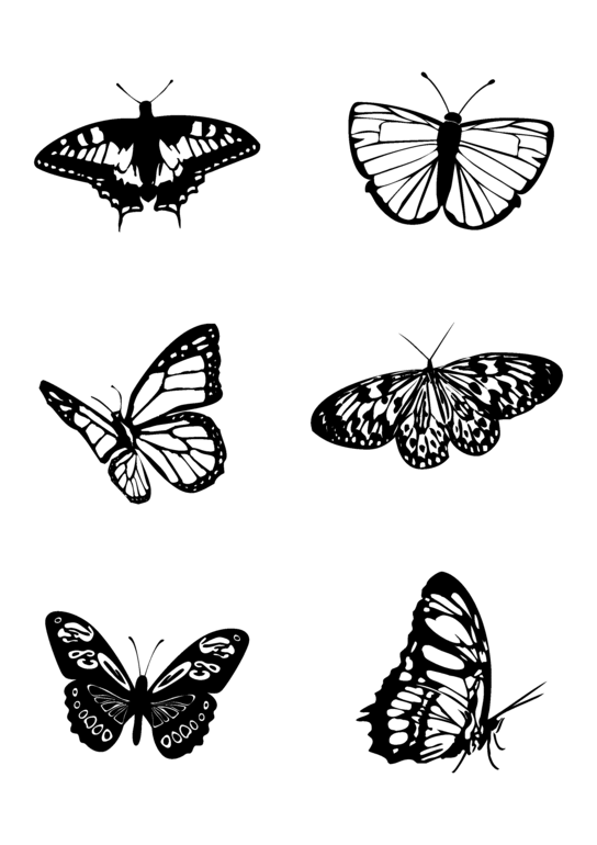 Распечатки бабочек черно. Бабочки рисунок черно белый. Бабочка черно белая. Черно белые бабочки для распечатки. Бабочка рисунок чб.