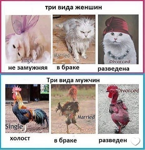хи хи