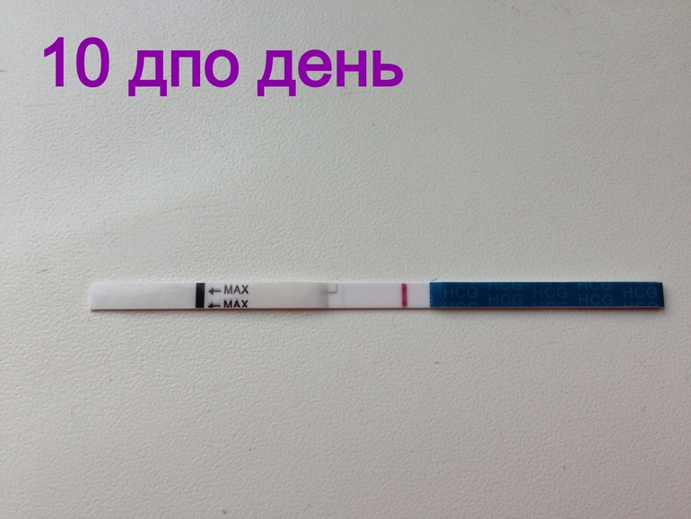 Тест день 10 дпо