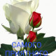 &sect;&sect;&sect;&sect;Сандра&sect;&sect;&sect;&a