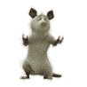 2e5a0482253fcac539a1a541e85738d7.gif