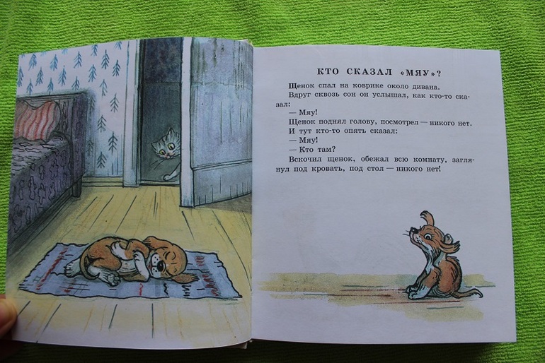 Наш Сутеев