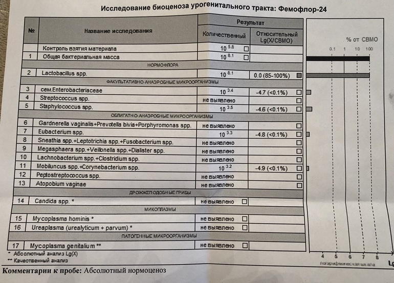  Foto 31