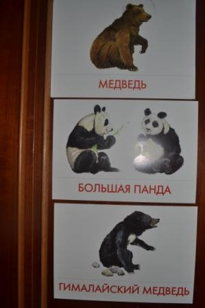 ТН