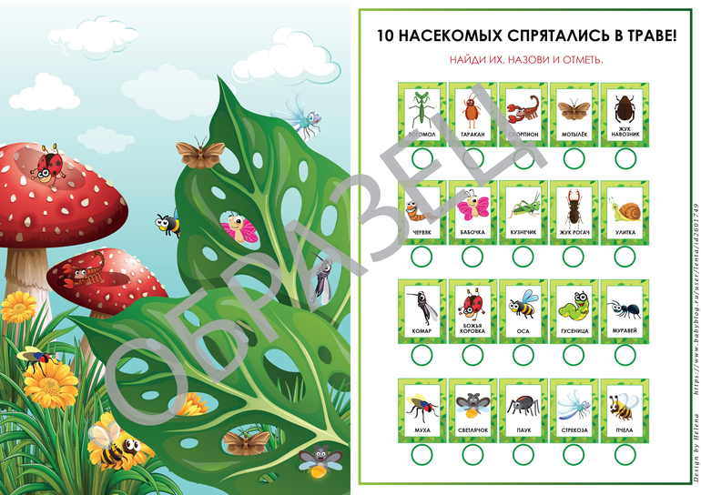 дидактическая игра насекомые для детей 3,4,5 лет