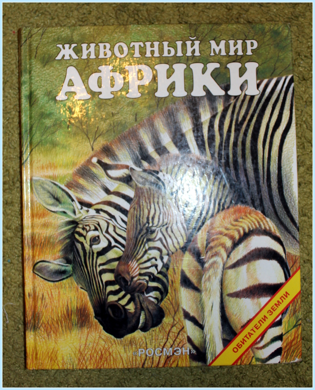 Африка