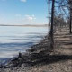 Полина