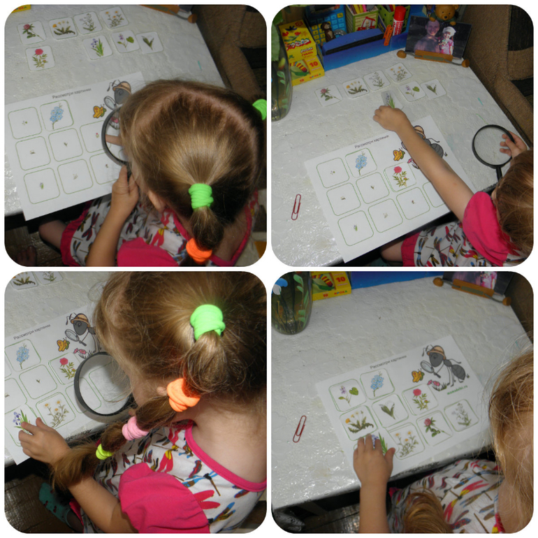 ТЗ Муравей — 9 ответов | форум Babyblog