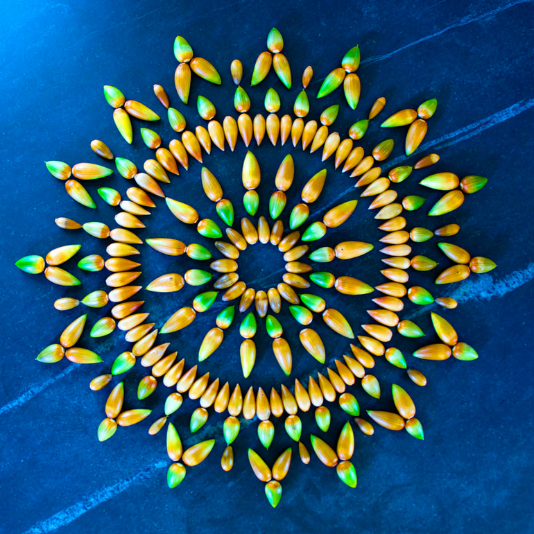 Land Art