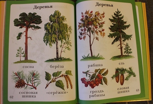 Развитие речи и кругозора с 1 годика