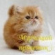 ***Катюшка***