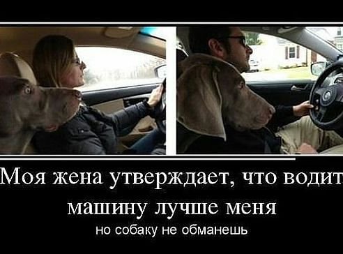 )))