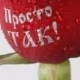 лилия