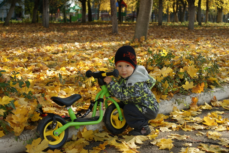 e85edf49532f2c15c802d6339c626fa0.jpg