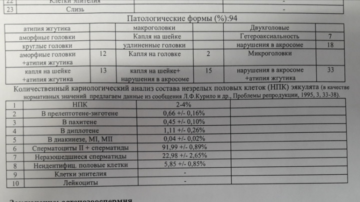 Руководство по исследованию эякулята по воз