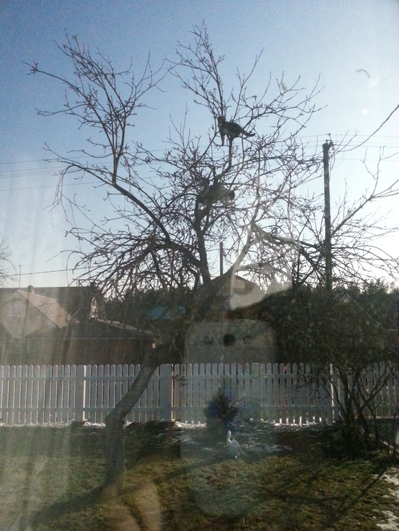 home sweet home.2 марта. добро и зло