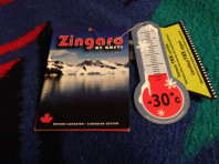 Зимний костюм Zingaro Gusti размер 104 как новый