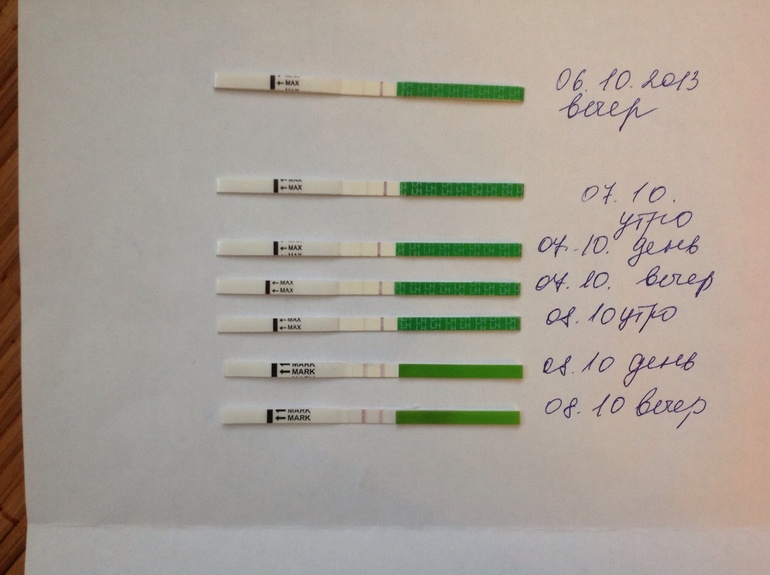 Через какое время после овуляция появляется желтое тело