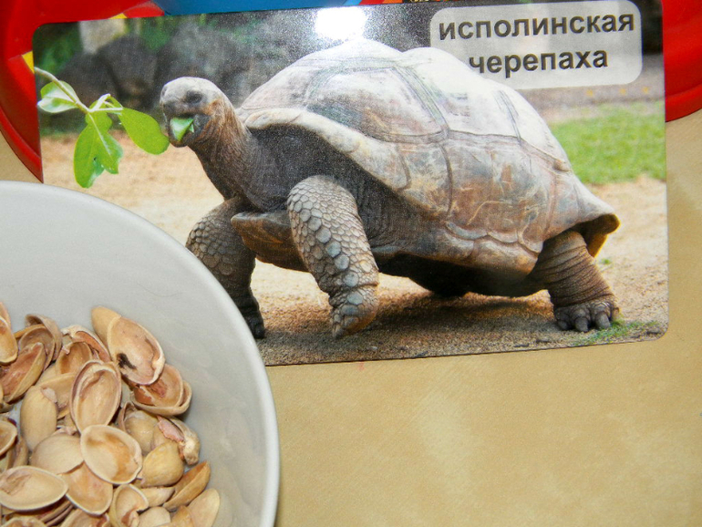 Я