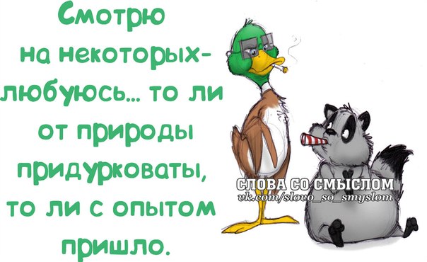 Картинки