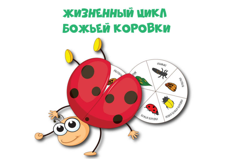 жизненный цикл боьей коровки игра для детей скачать