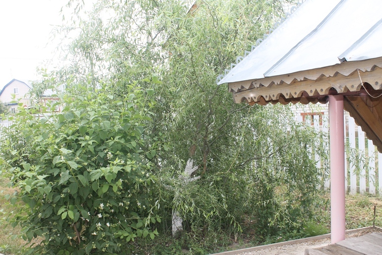 ТН