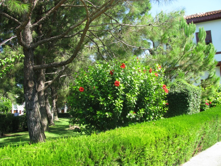 55fac0a4357f8ed89c06c755bc8ec17f.jpg