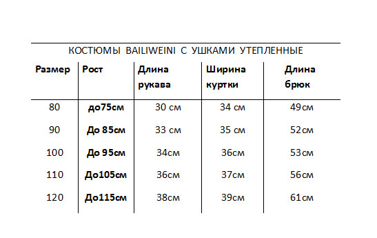 Утепленный костюм BAILIWEINI
