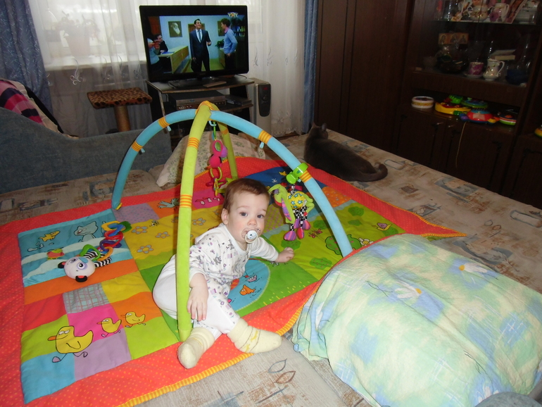 Полгодика