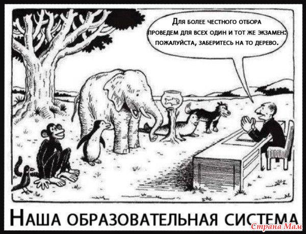 Развенчание мифов о необходимости школы