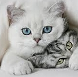 ИМЕНИННИЦЫ ღ ღ ღ 5 апреля ღ ღ ღ !!!