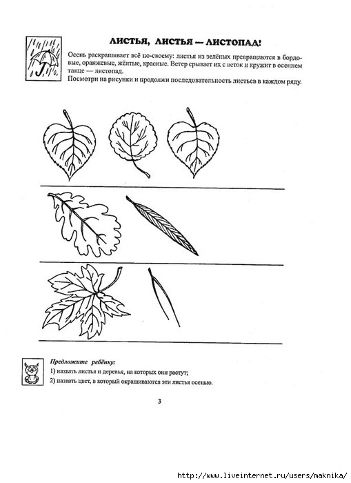 457f6f98609eb9da776f9312142e3333.jpg