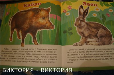 Мини-энциклопедии 2