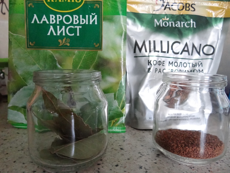 Занятие Шичида