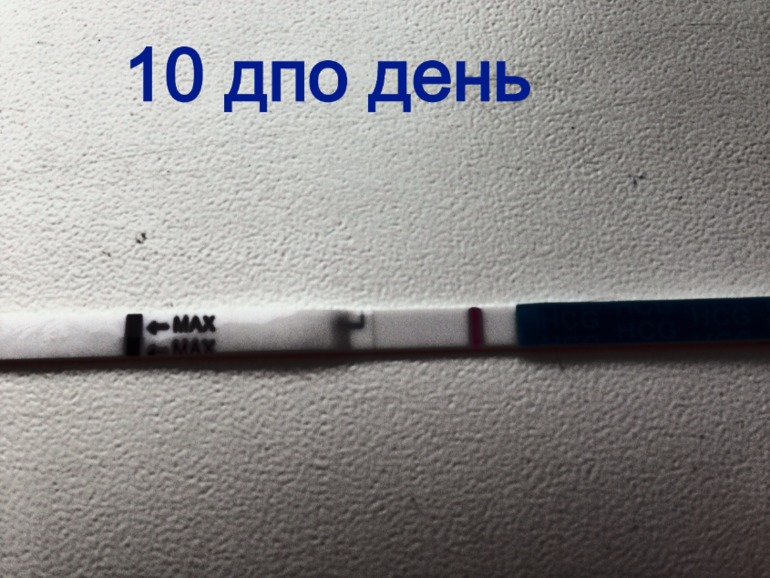 Тест день 10 дпо