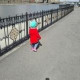 Куляш Умирова