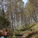 Валя Черникова