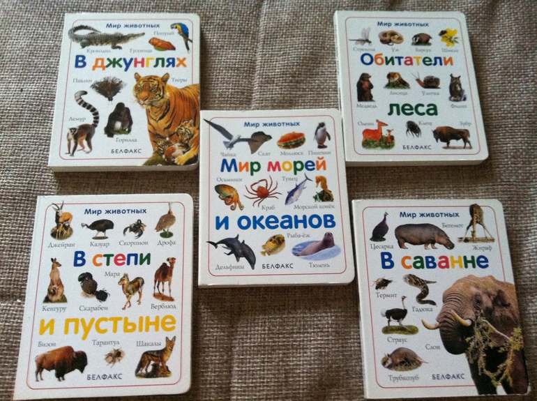 Мир животных, Белфакс