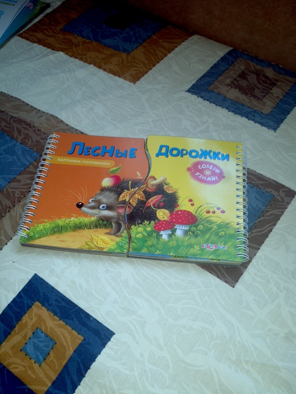 Пополнение нашей домашней библиотеки.