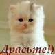 Марина