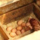 Уральский Фермер