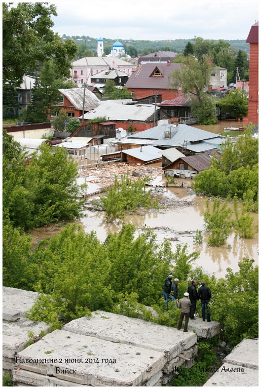 фото чп