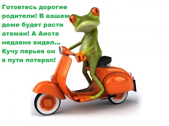 ed783ff866023a7c8672f6d799b7ef8d.jpg