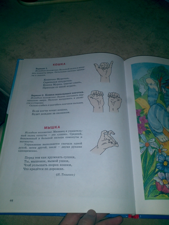 Пополнение нашей домашней библиотеки.