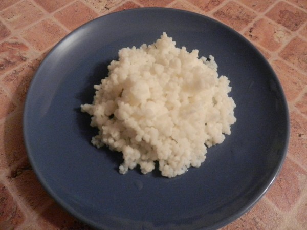 Грибок кефирный