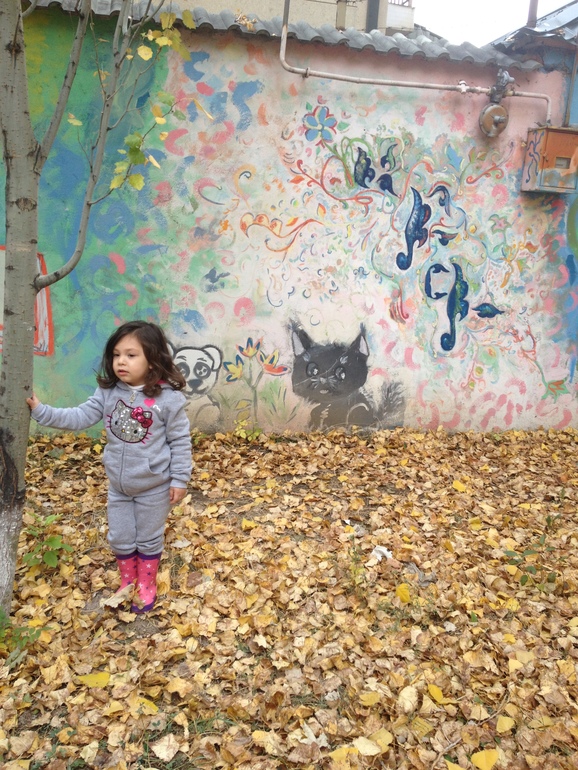 d48295ab3319c96e8f172eb70f7874dc.jpg