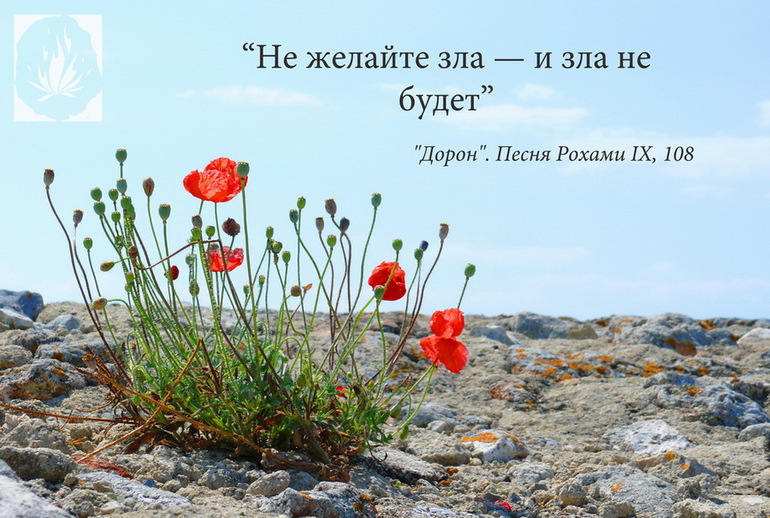 Мой дневник
