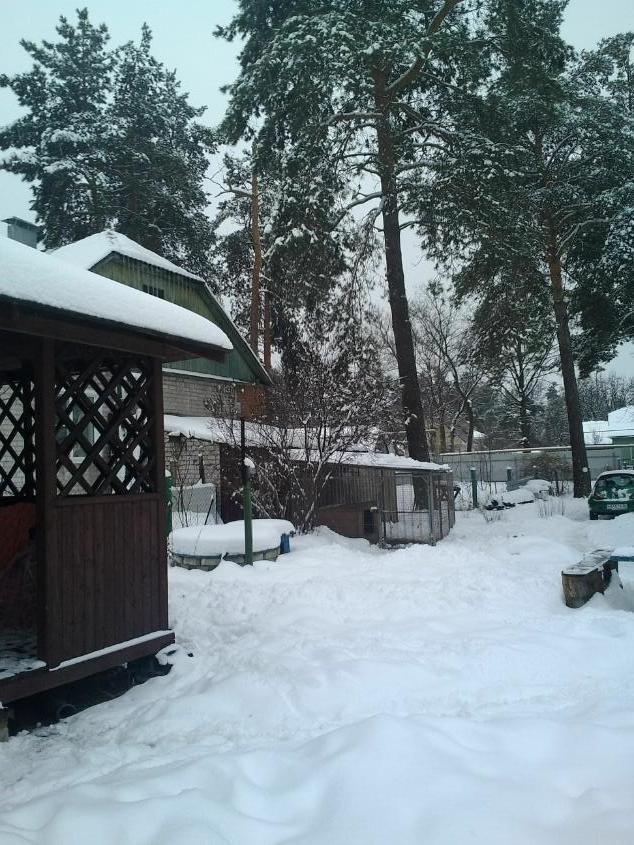 День 16