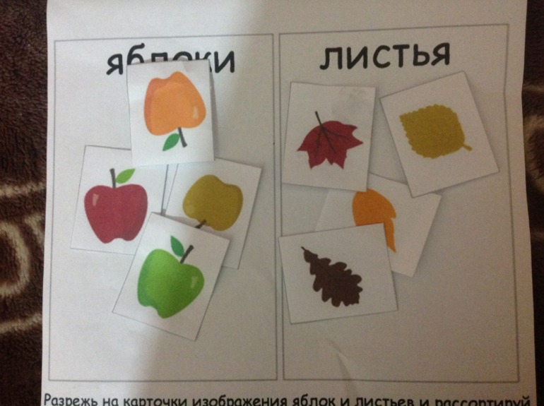 ТН Времена года